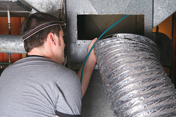 Best Air Duct Mold Removal  in Carlisle, PA